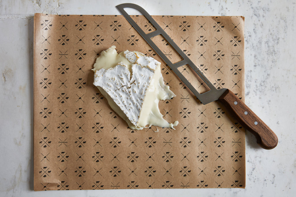 Choose Cheese Paper! Here's Why.