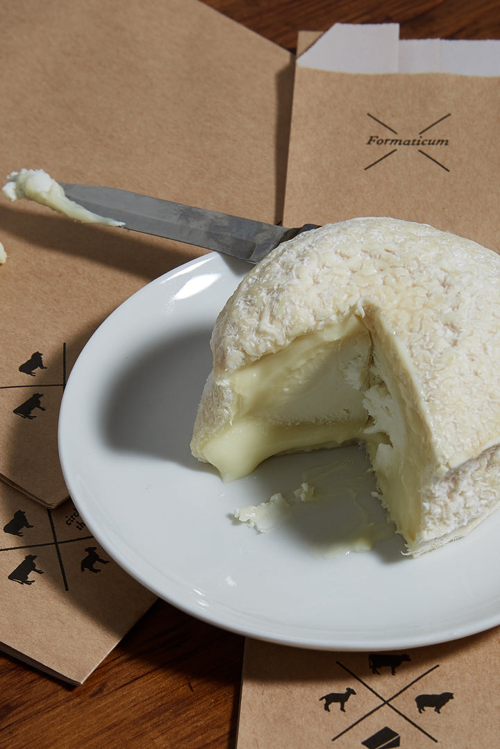 Honor the Cheesemakers (& Importers, & Distributors & Mongers…), Save Your Cheese with Formaticum