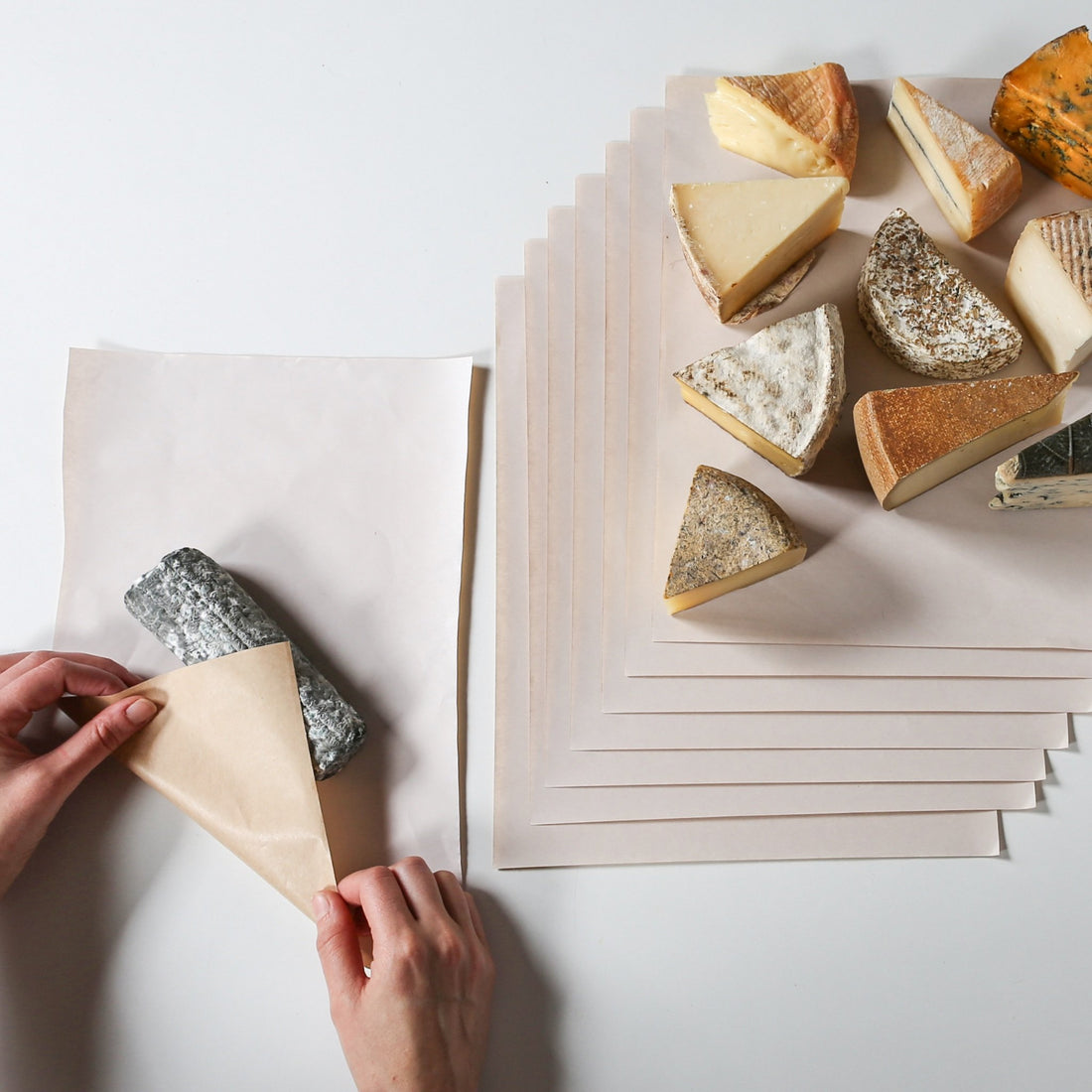 White 1-Ply Sheets 12.55" x 19.65"