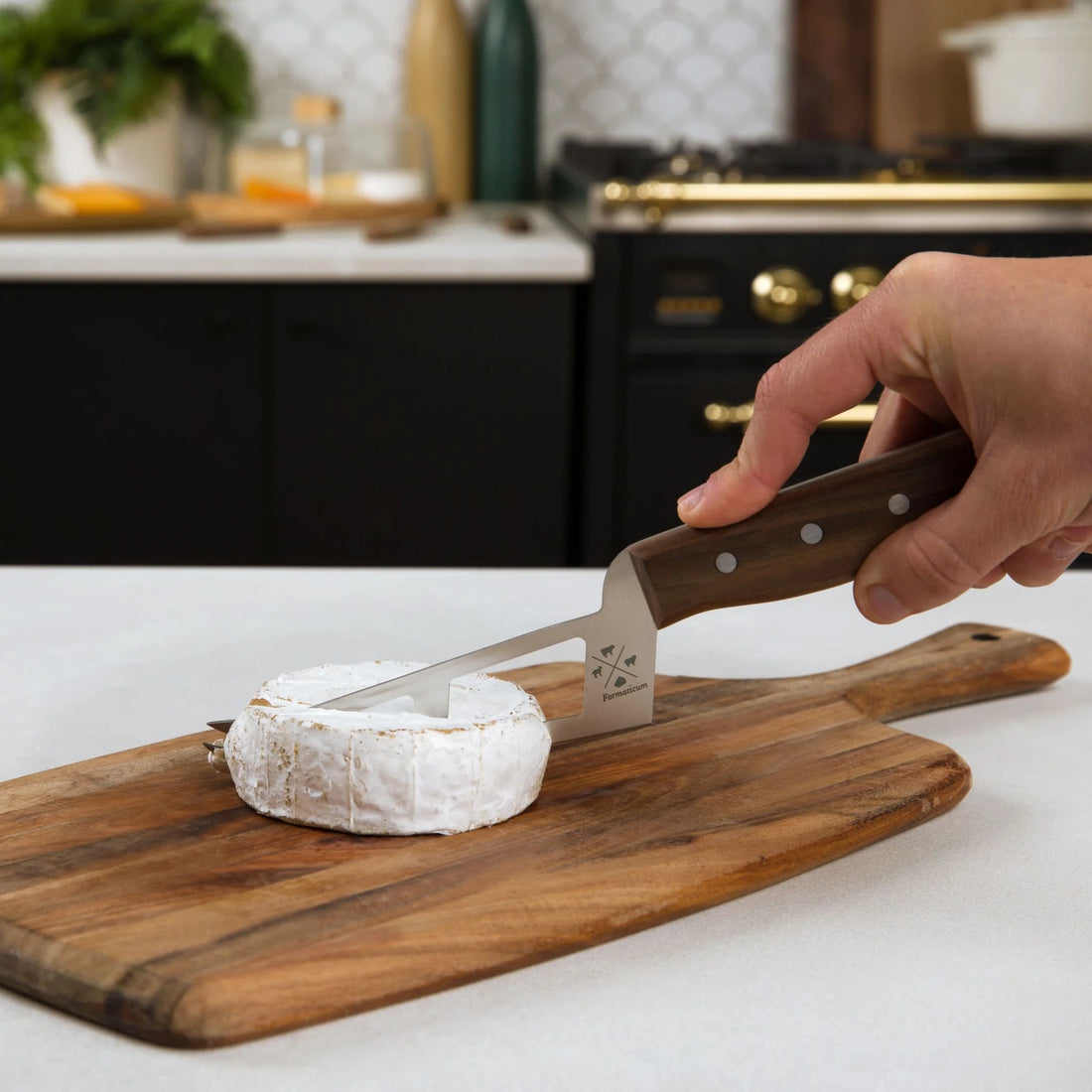 Mini Soft Cheese Knife w/ Forklet - Olive Wood Handle