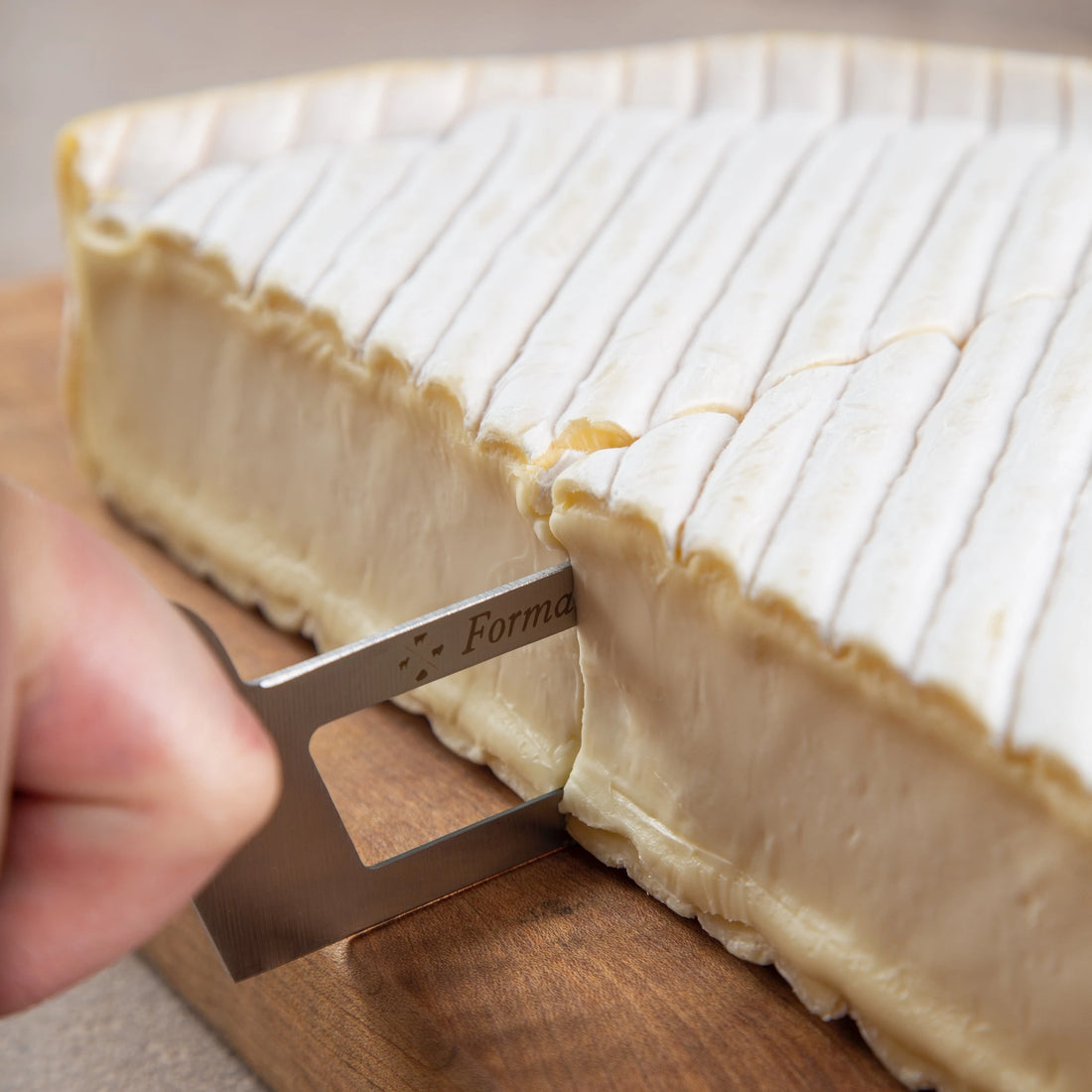 Professional Soft Cheese Knife - Olive Wood Handle