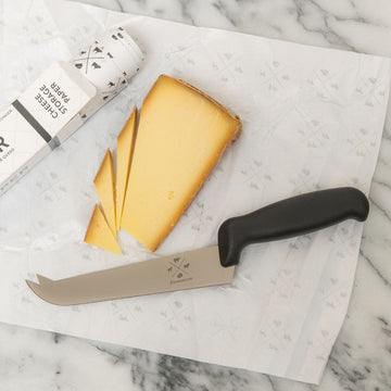 Professional Serving Cheese Knife - Plastic Handle