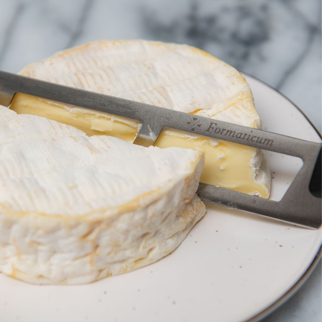 Professional Soft Cheese Knife - Plastic Handle