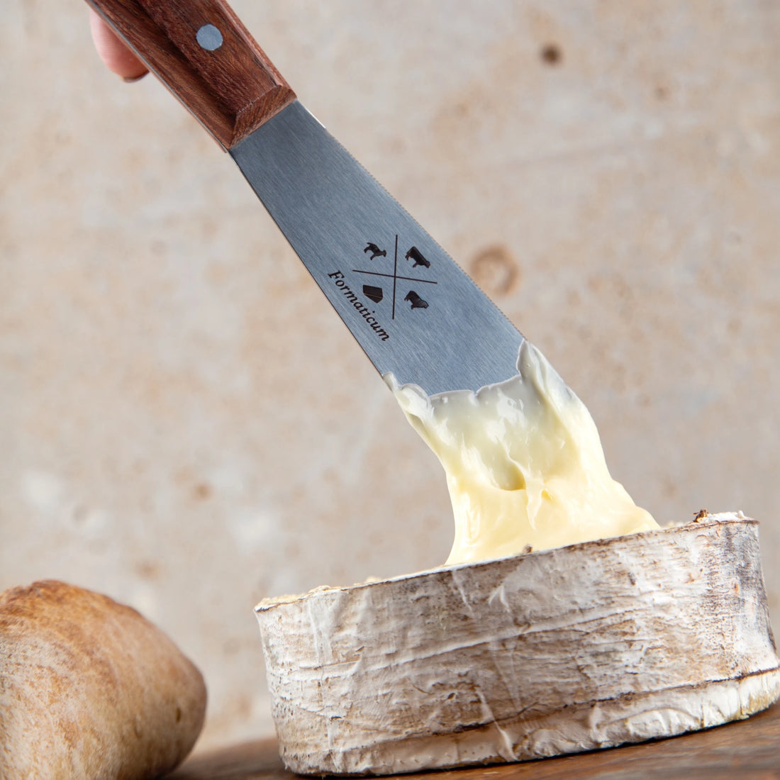 Professional 4 Knife Set - Olive Wood Handles