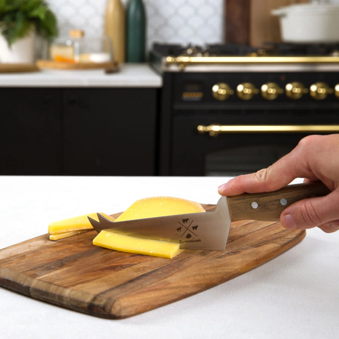 Mini Serving Knife - Olive Wood Handle