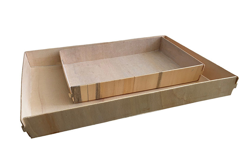 Poplar Catering Trays with Transparent Lids - 10-pack