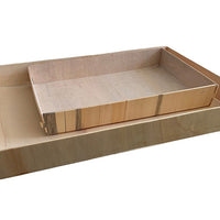 Poplar Catering Trays with Transparent Lids - 10-pack